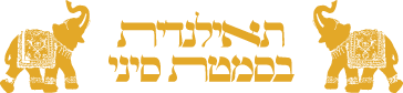 התאילנדית בסמטת סיני